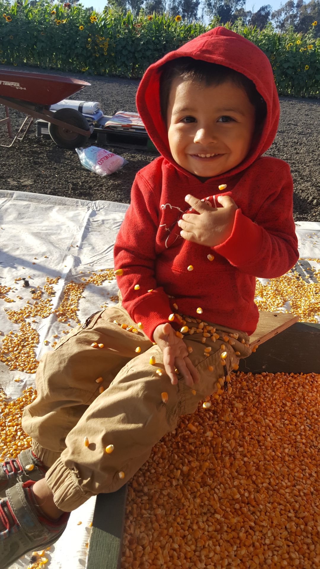 From Our Readers: Picking Pumpkins